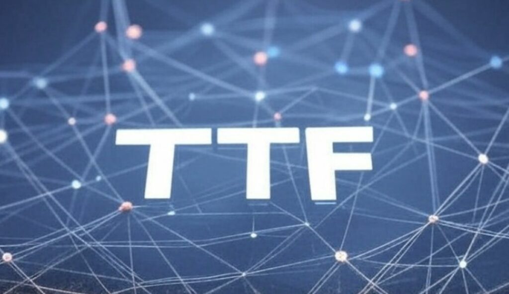Topical Trust Flow (TTF)